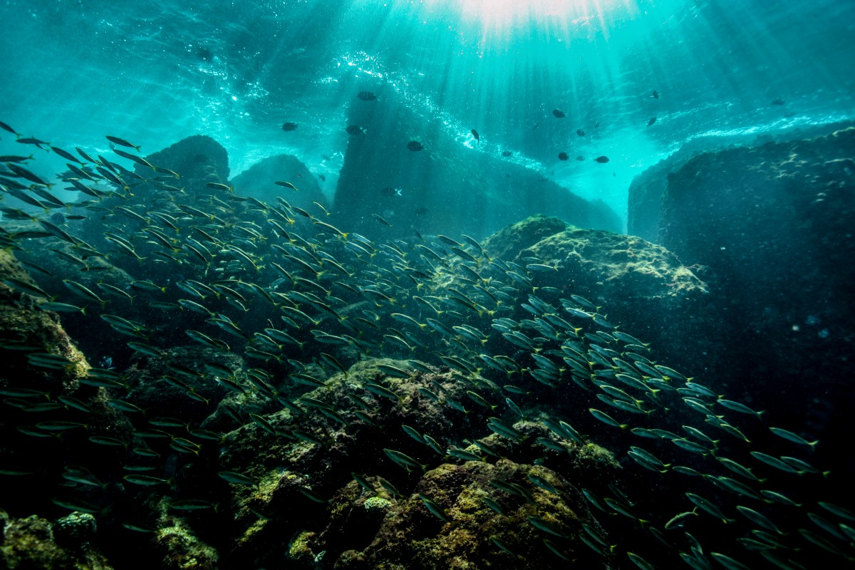 TNFD adopters Frasers Property, Seatrium disclose nature-related issues in sustainability reports - THE EDGE SINGAPORE