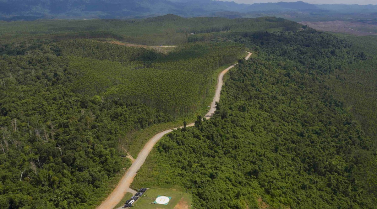 How digital public infrastructure can help tackle our climate challenge - THE EDGE SINGAPORE