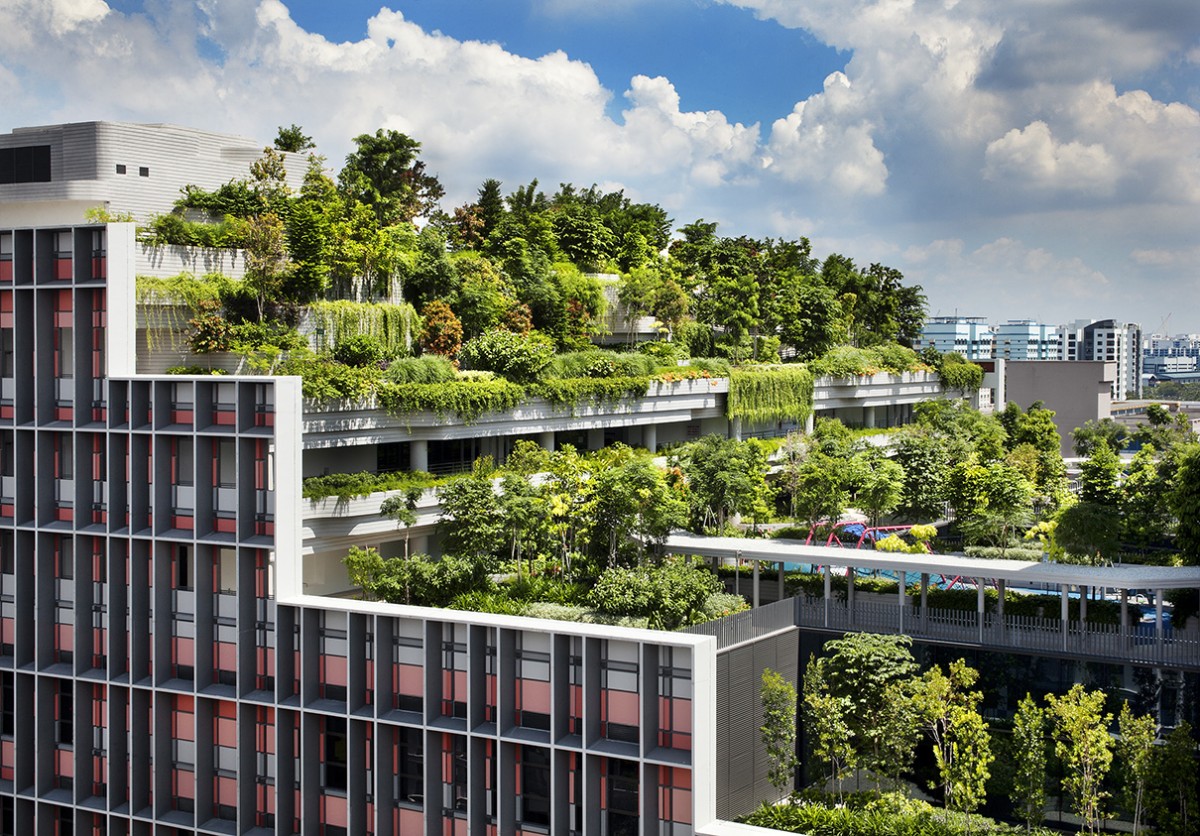 Aprea launches guide to nature-based solutions for real assets sector - THE EDGE SINGAPORE