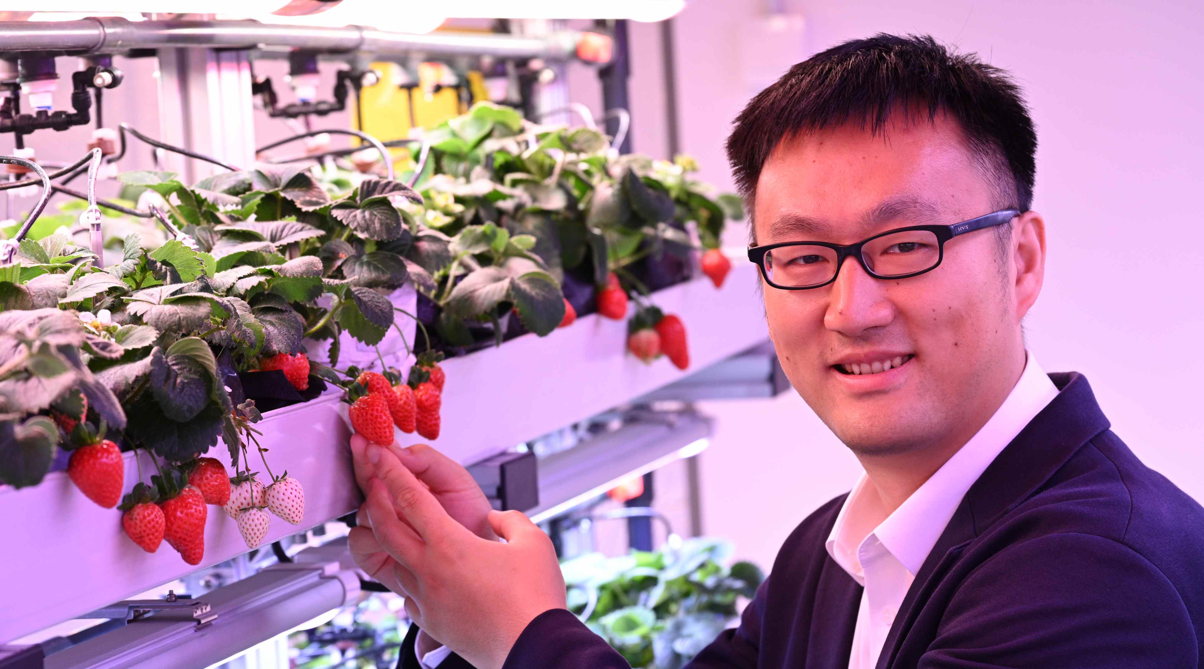 Singrow imbues produce with climate-resilient qualities, starting with ...