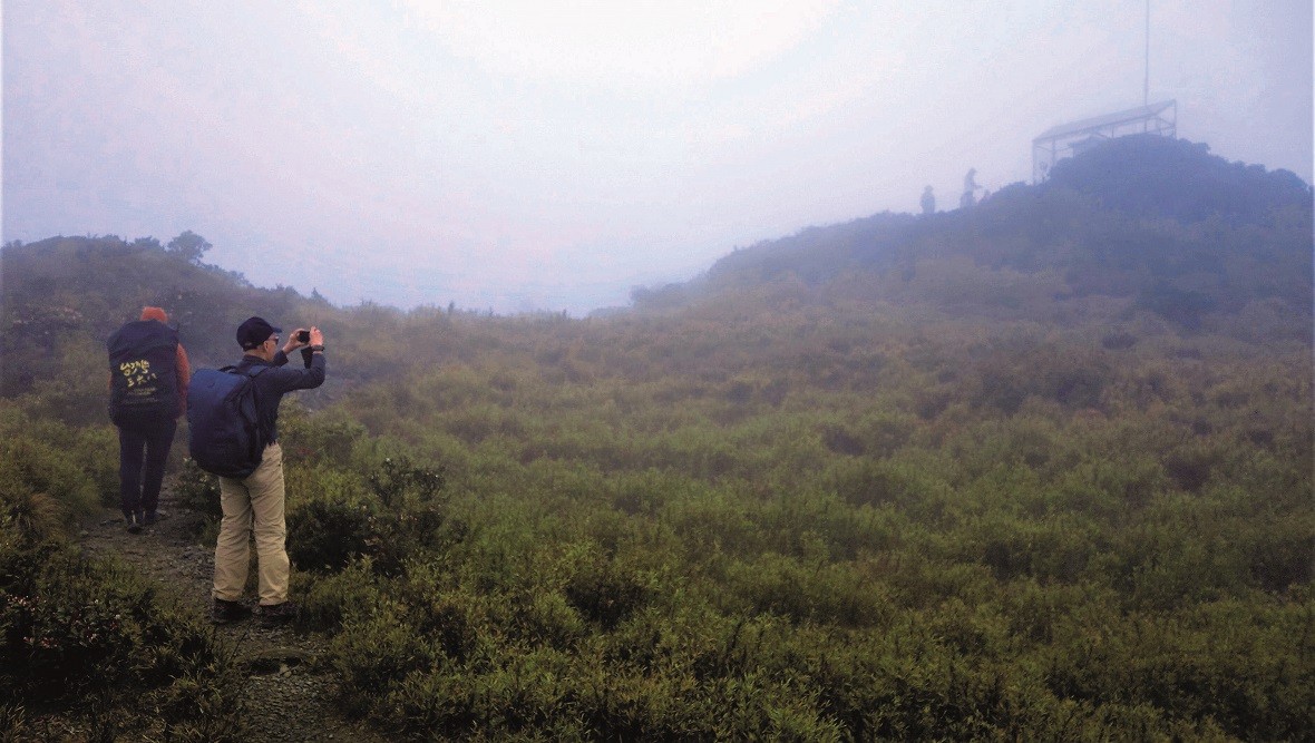 Searching for Mount Dabajian amid rain, fog and mist in a Taiwanese national park - THE EDGE SINGAPORE
