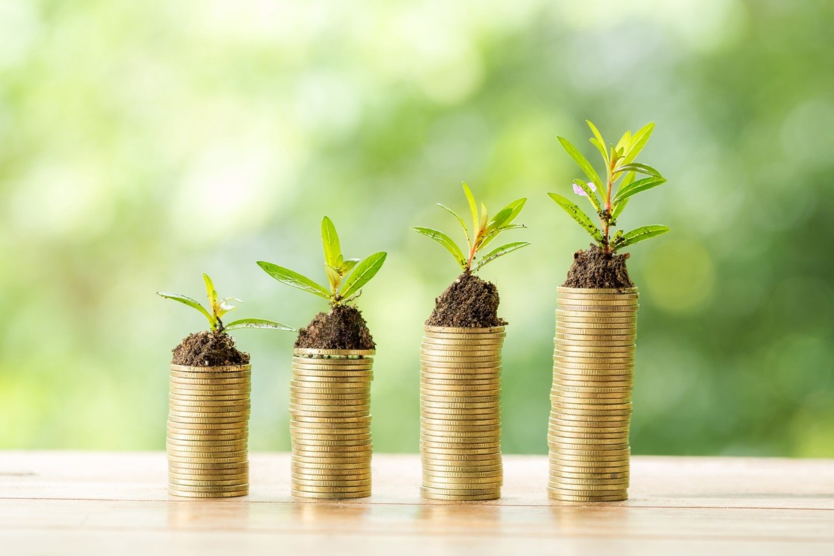Renewables fuel institutional interest in climate-related investment: AIGCC report 