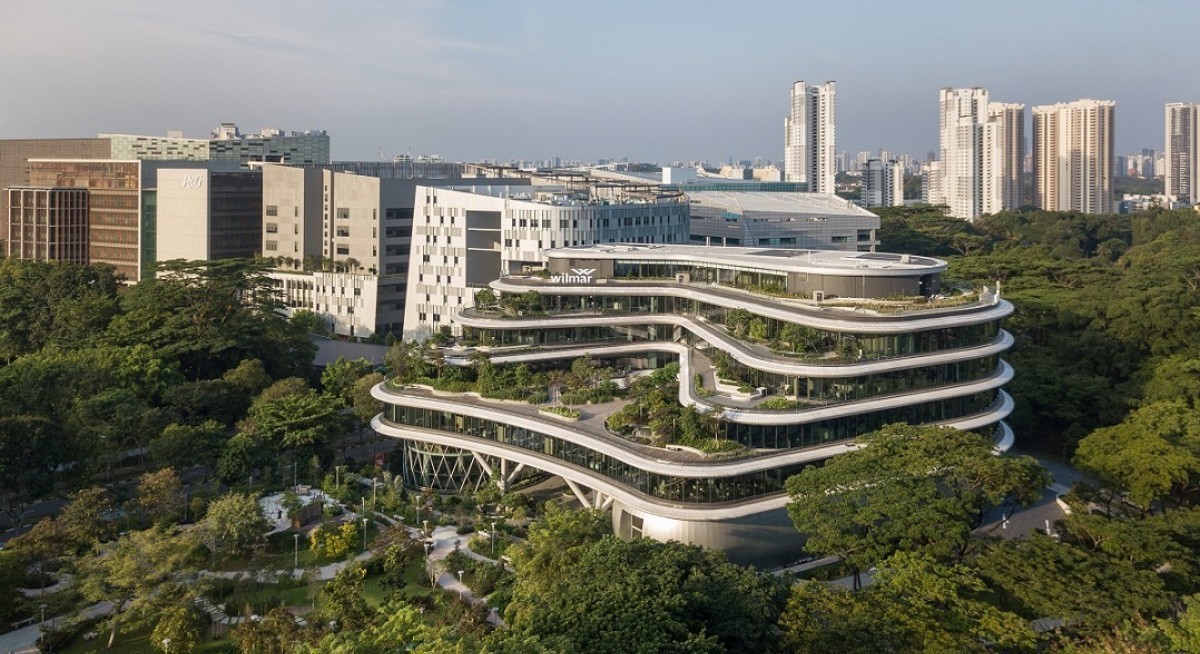 DBS maintains 'hold' and $3 target price on Wilmar following Indonesia court decision - THE EDGE SINGAPORE