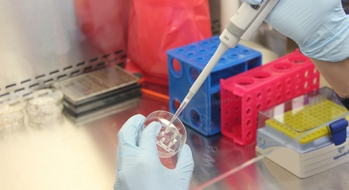 CDW Holdings publishes research papers on new ways to target cancer stem cells - THE EDGE SINGAPORE