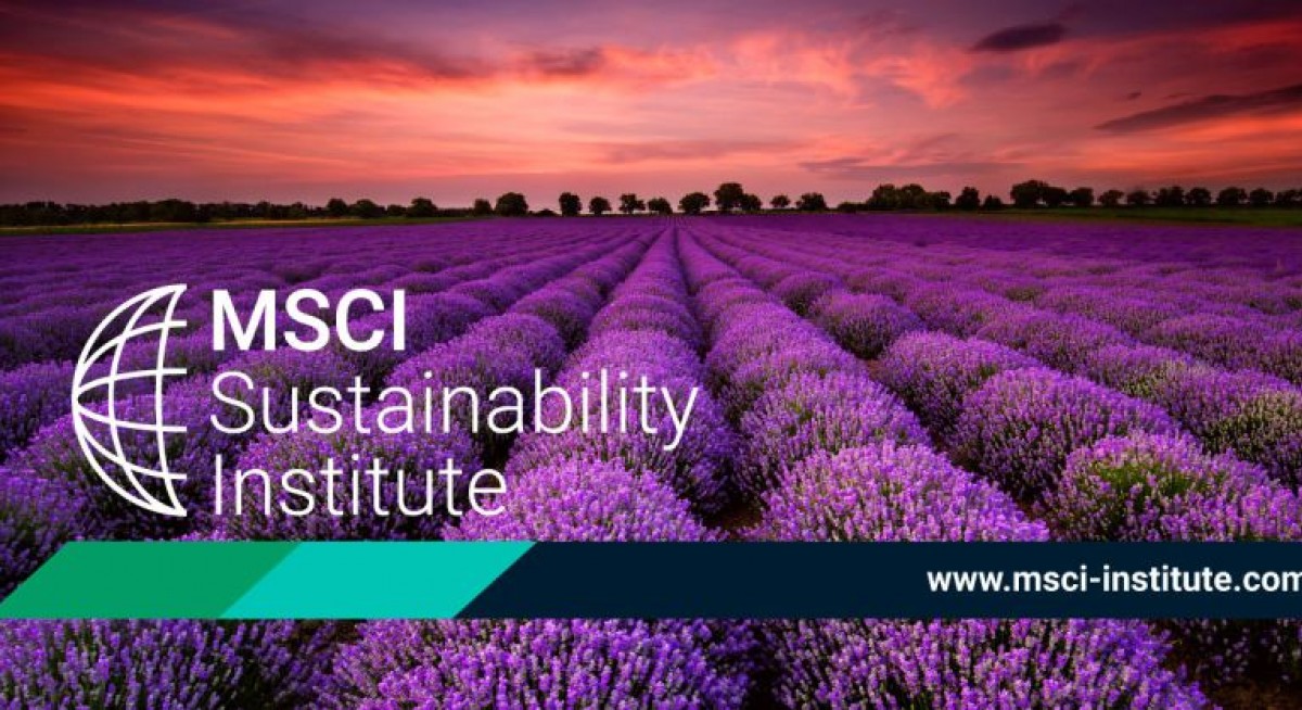 MSCI launches sustainability institute, led by former ESG, climate research head - THE EDGE SINGAPORE