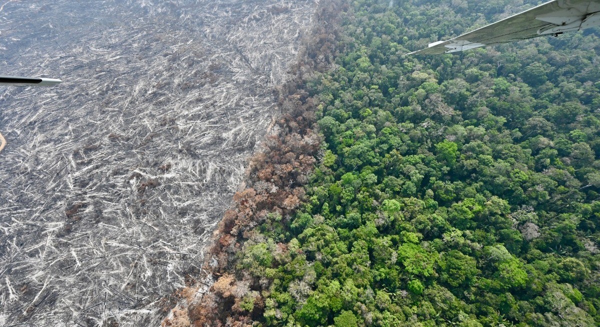 EU Parliament backs one-year delay of deforestation regulation
