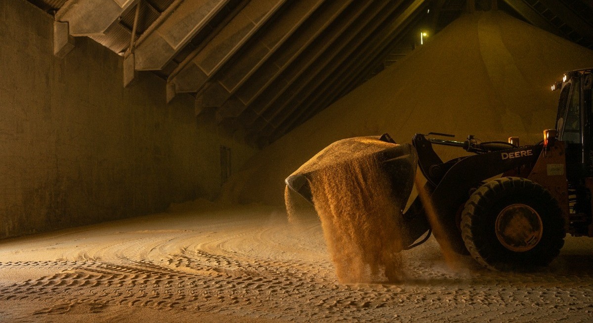 EU aims to cut dependency on soy, oilseed imports for livestock