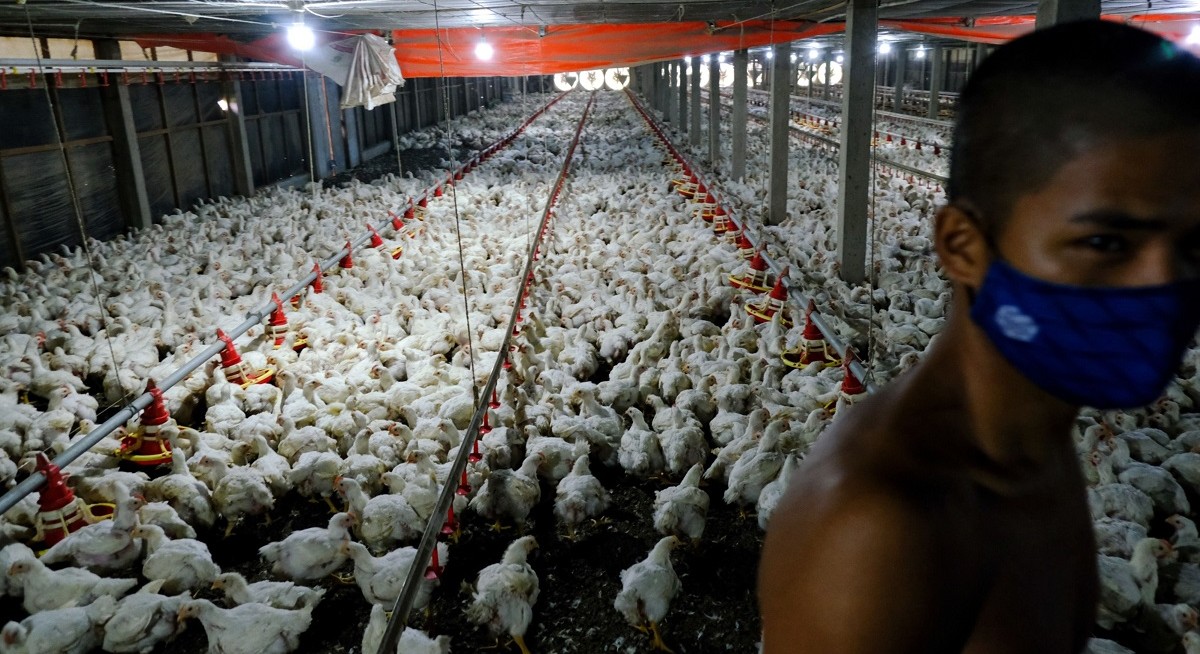 A global stock trader's guide to navigating food protectionism