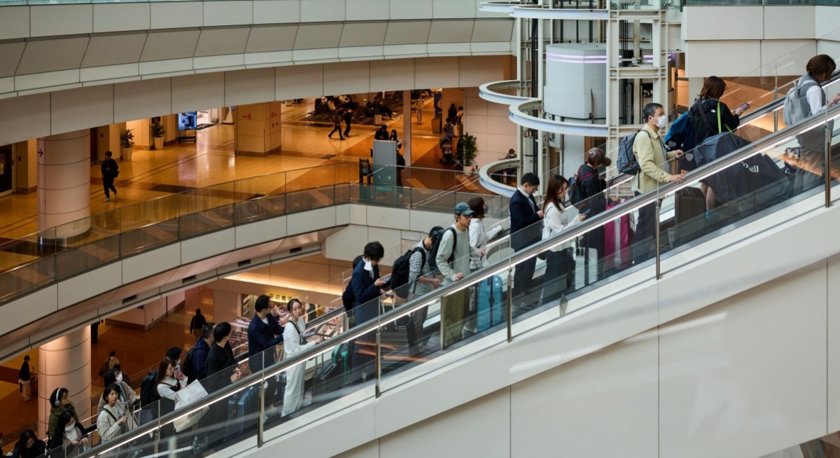 Escalator stocks may ascend 