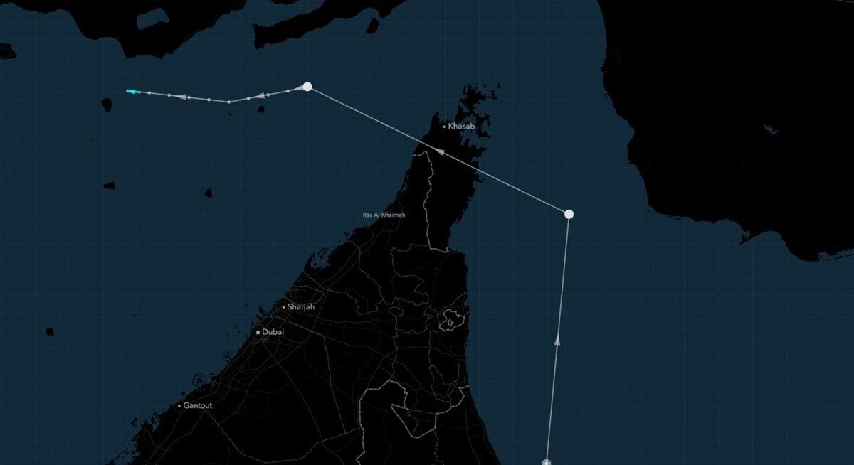 Hong Kong vessel makes rare Hormuz transit into Persian Gulf