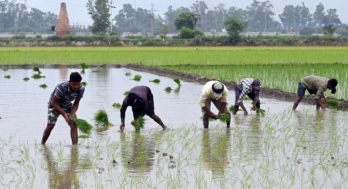 India cuts monsoon outlook to 90% of normal in risk to crops