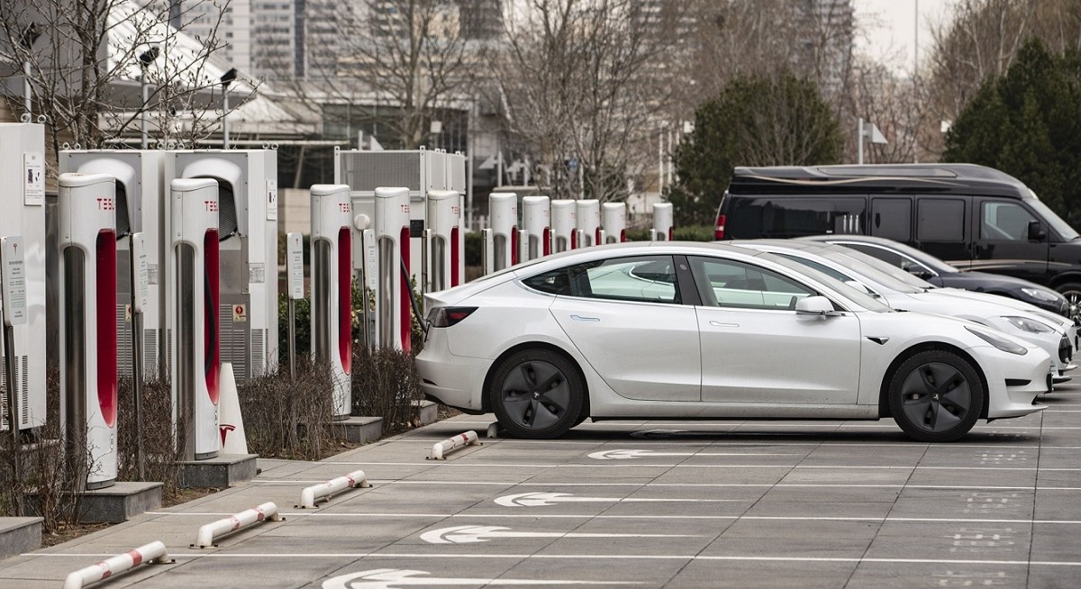 Ninety One's Global Environment Fund still outperforms even without soaring EV manufacturers