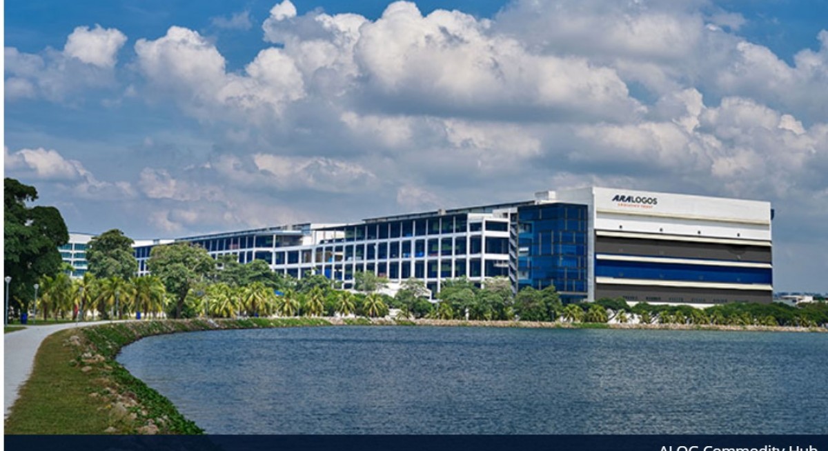 Singapore's next REIMs and REITs
