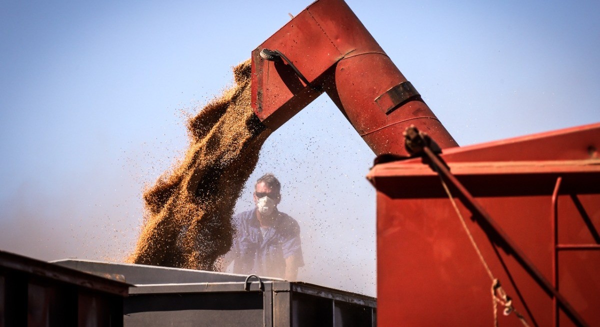 Australia raises wheat crop outlook to third-largest on record