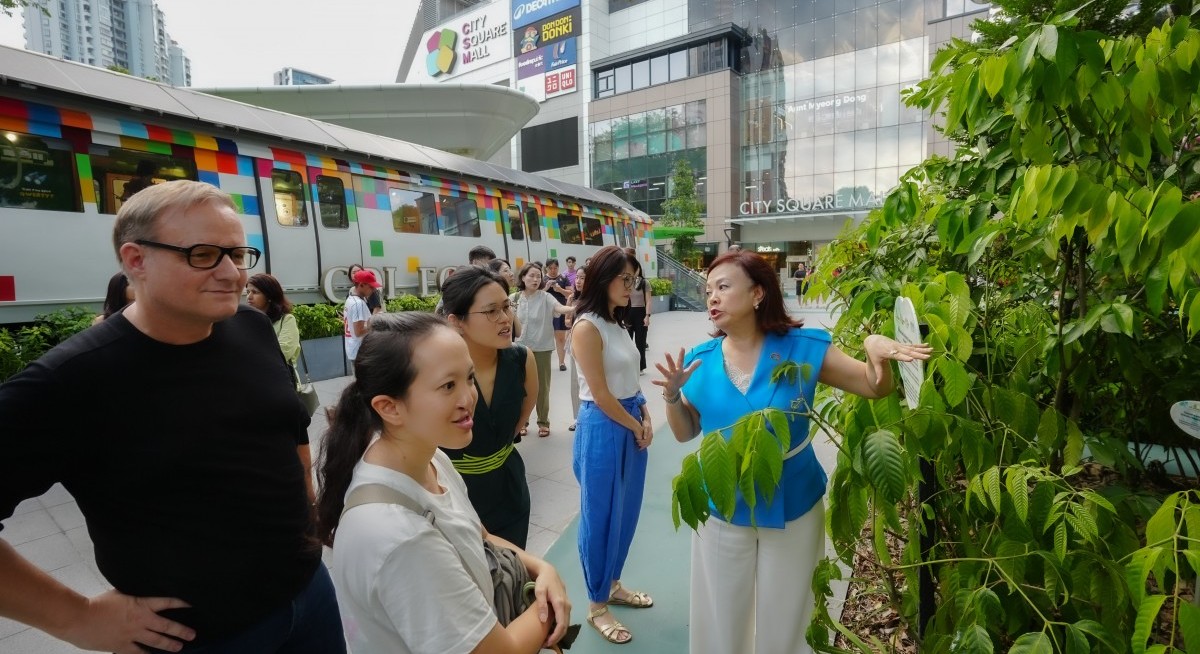 City Square Mall’s CDL MicroForest shows dense urban greenery can cool temperatures up to 5°C