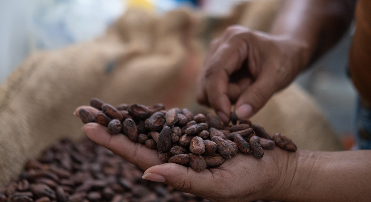 Chocolate shrinkflation: Upstream, midstream or downstream, who can better pass on costs to their customers?