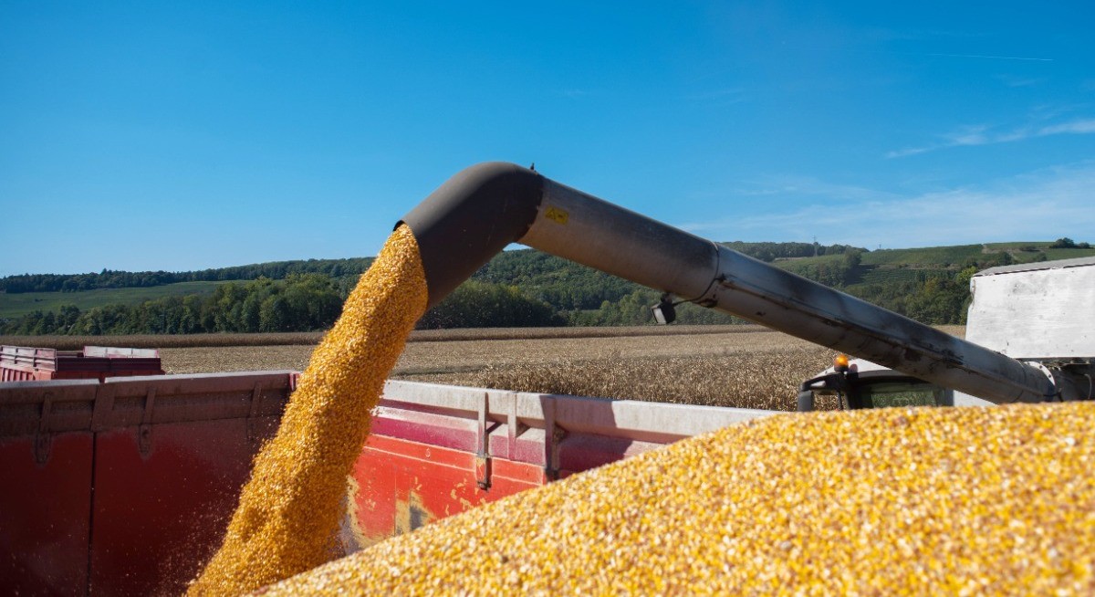 Corn, soybeans touch highest in a month as traders watch weather