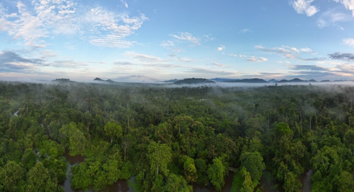 Bumitama’s disciplined approach turns sustainability into shareholder value - THE EDGE SINGAPORE