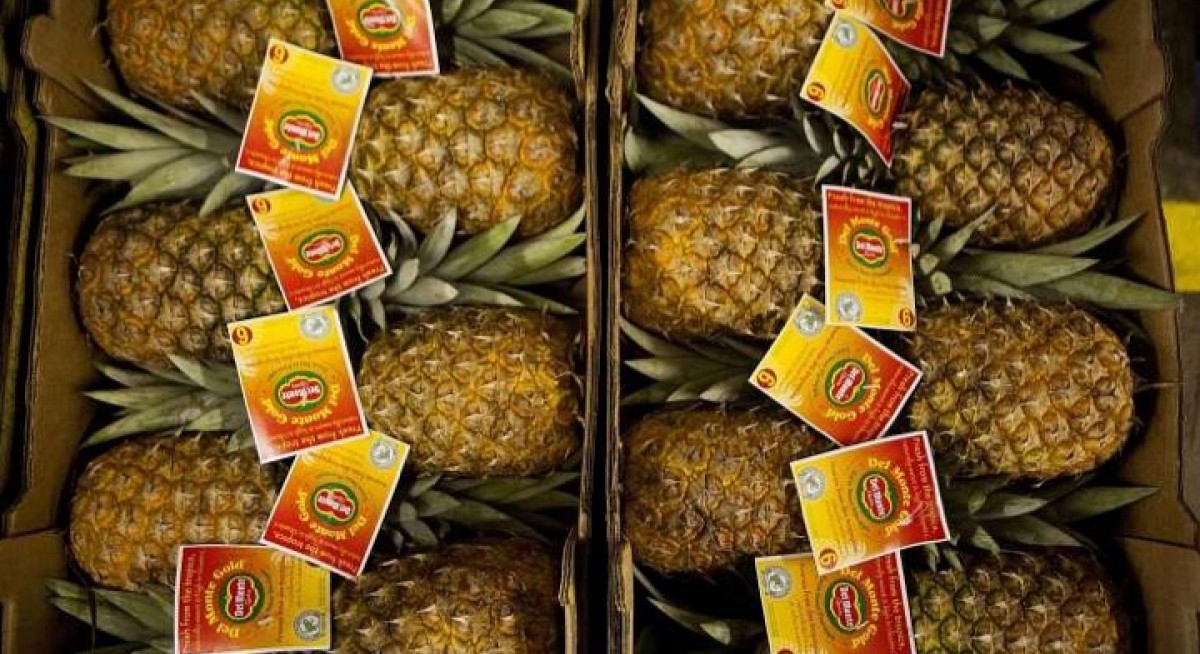 Del Monte Pacific sinks into the red in 2Q on one-off charges for US plant closures