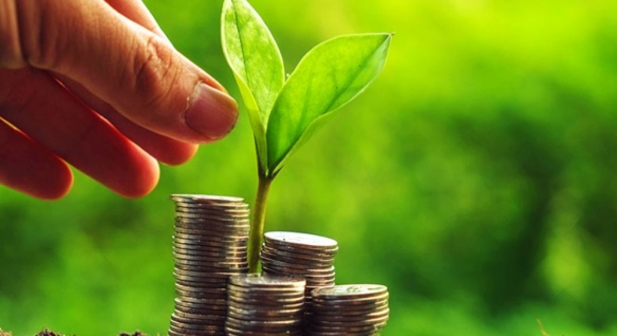 Enhancing long-term value via sustainability - THE EDGE SINGAPORE
