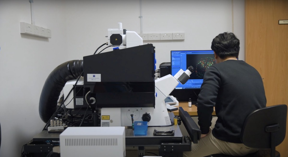 Singapore start-up builds AI ‘search engine for molecules’ with Equinix