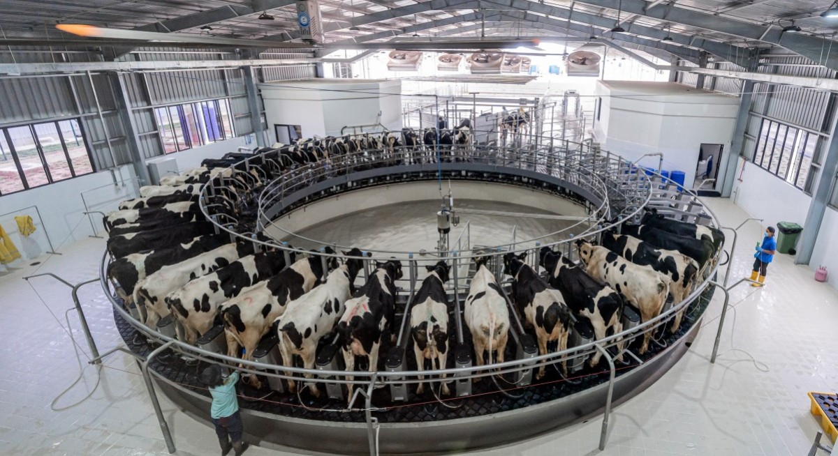 F&N’s profit after tax falls 4% y-o-y to $210.4 mil in FY2025