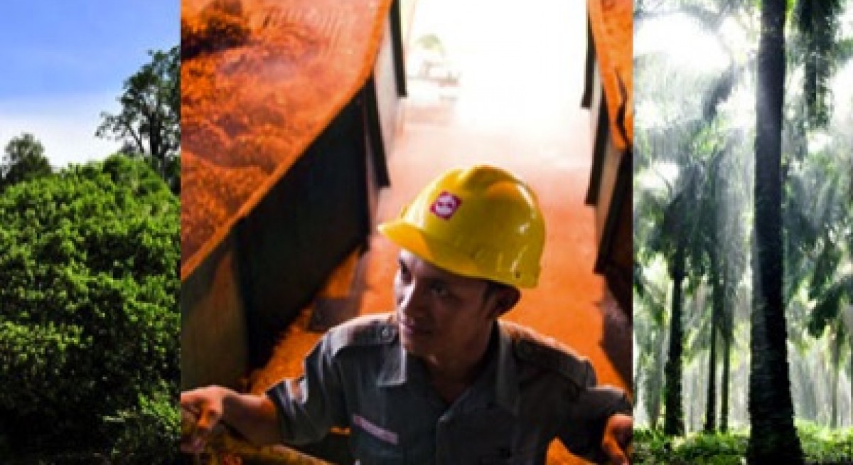 Golden Agri sinks into the red with 4Q loss of US$29.1 mil 