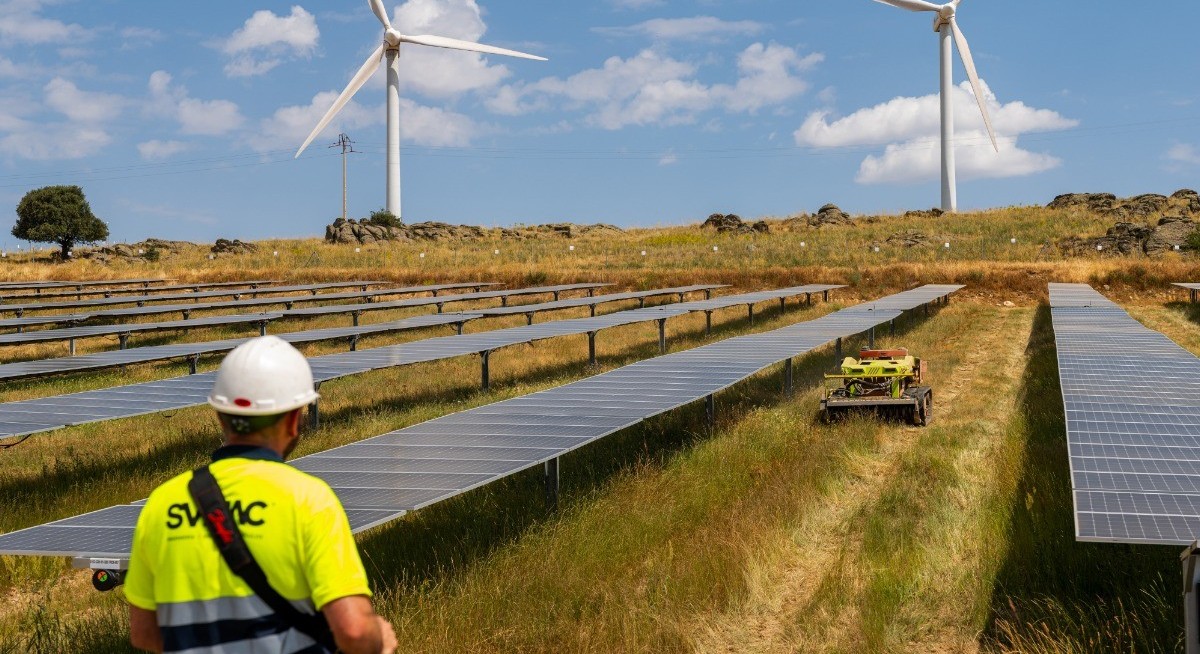 Green debt sales hit record levels despite climate backlash