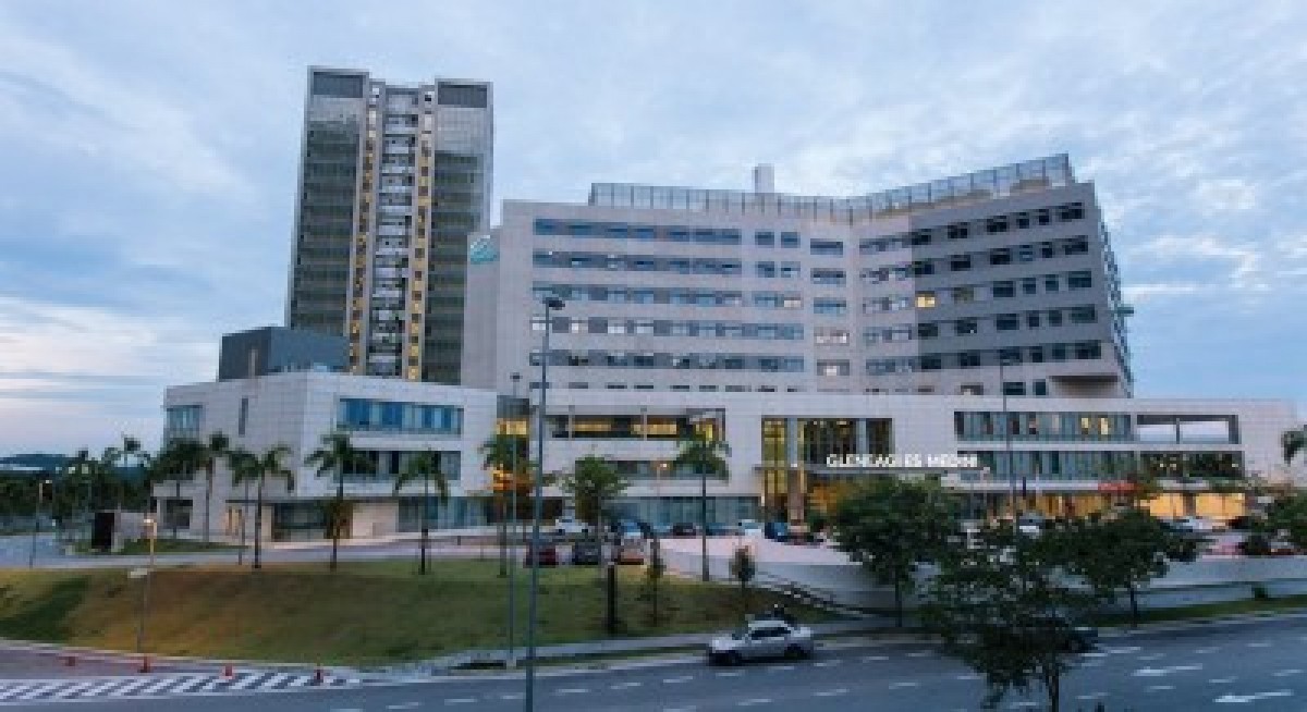 IHH’s NTK amends Tokyo court claim against Daiichi Sankyo after open offers completed