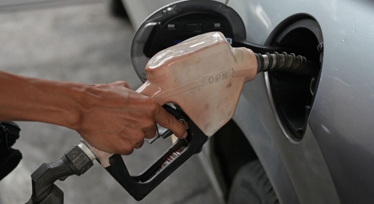 Indonesia to start road tests on B50 palm blend in December