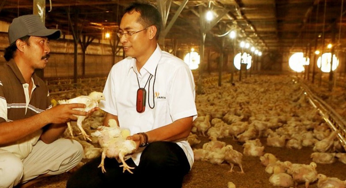 Japfa disposes of 7.5% equity stake in subsidiary AustAsia for $117.9 mil