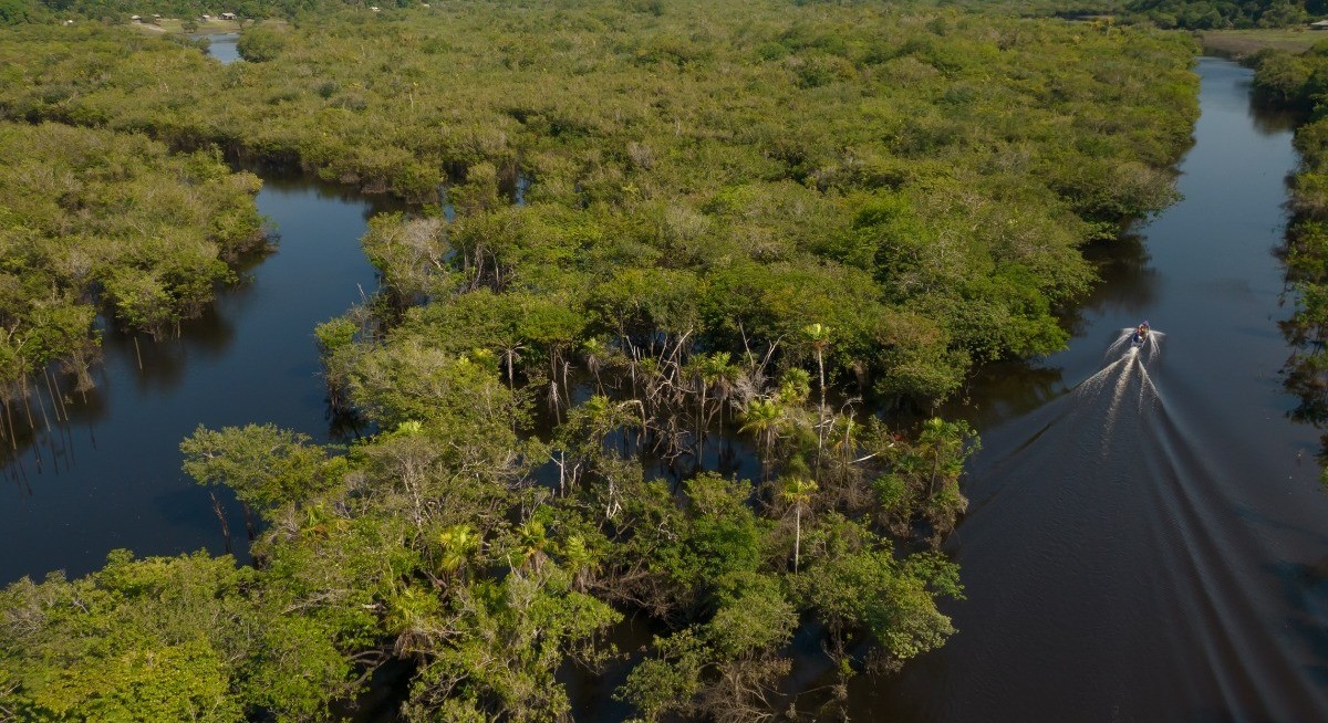 Norway pledges US$3 bil for forest fund, with conditions