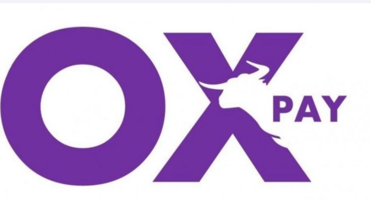 OxPay Finanial appoints co-founder of AXS as COO for subsidiary OxPay SG  - THE EDGE SINGAPORE