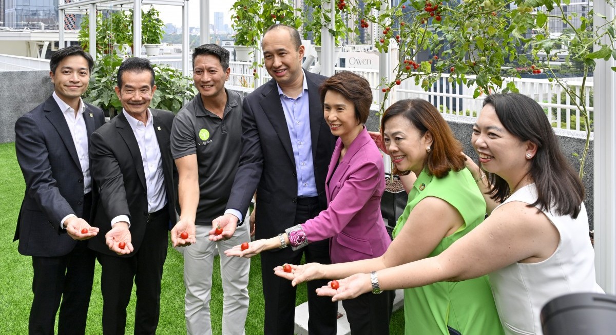 42 SMEs graduate from CDL’s SME Supplier Decarbonisation Queen Bee Programme