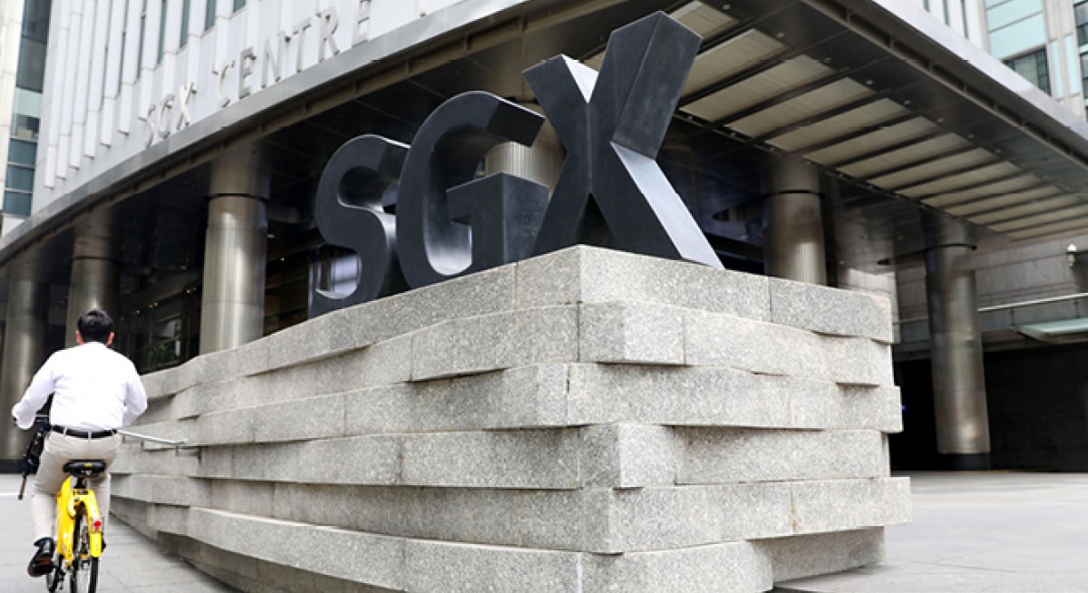 Pining for a better 2022