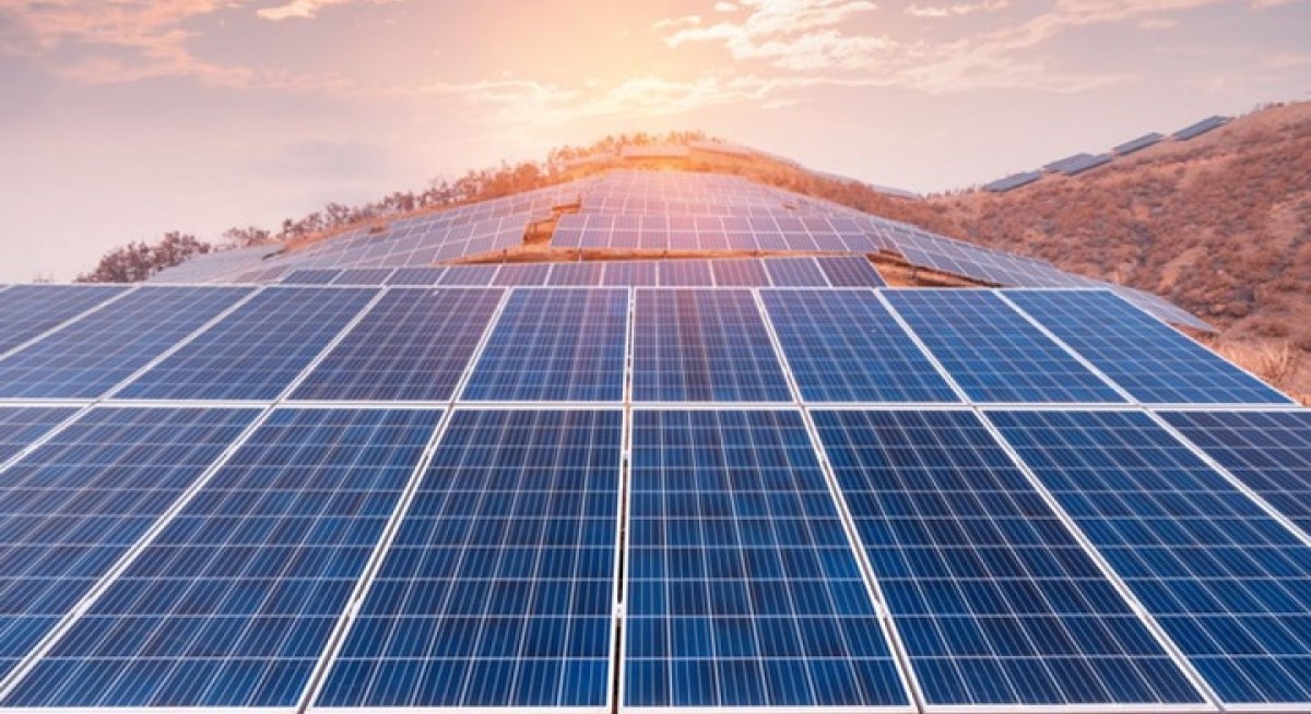 Renewable energy sector expected to 'bounce back quickly' from Covid-19: EY
