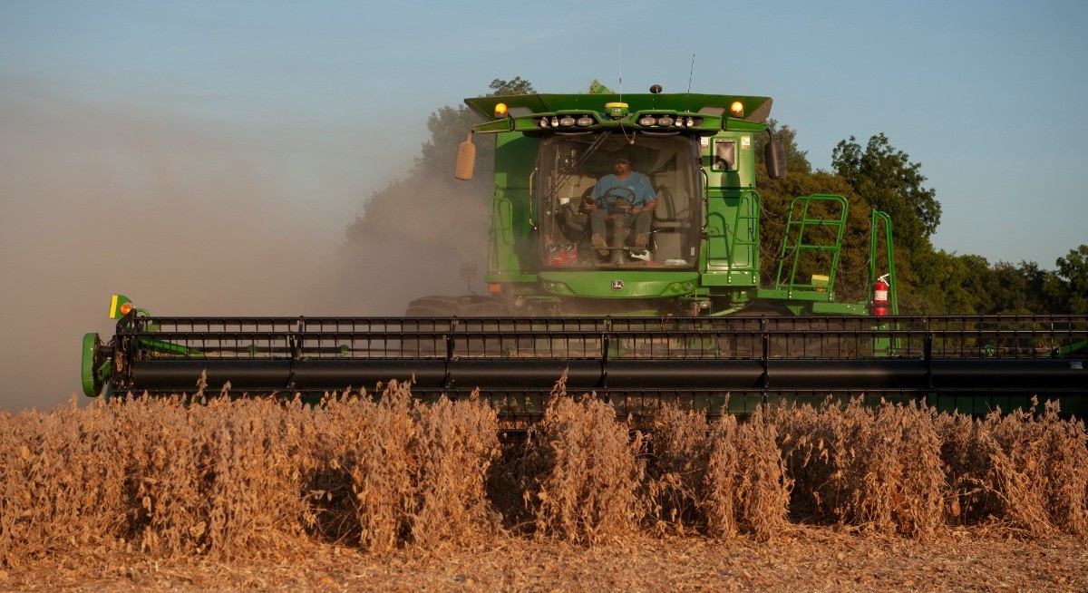 Friendship Testing Questions China’s selective crop buying tests US trade truce before summit