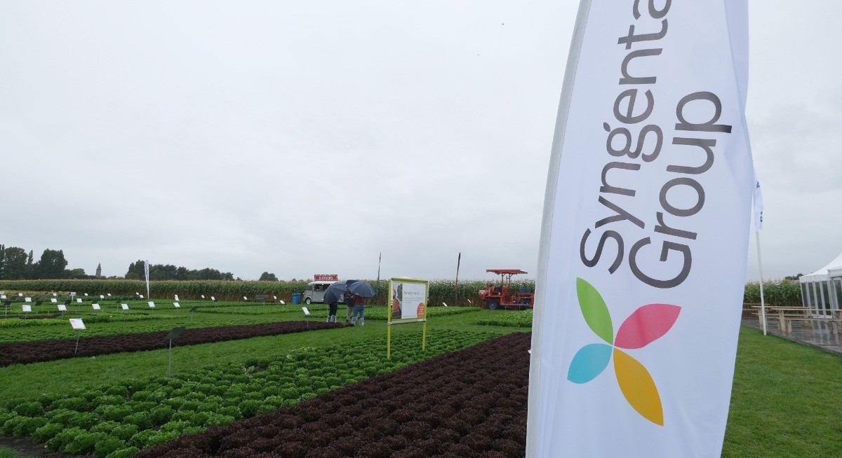 Syngenta is said to mull Hong Kong IPO after pulling out of Shanghai plan — Bloomberg