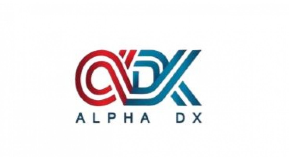 Alpha DX signs MOU to acquire Japan-based DiDi Academy