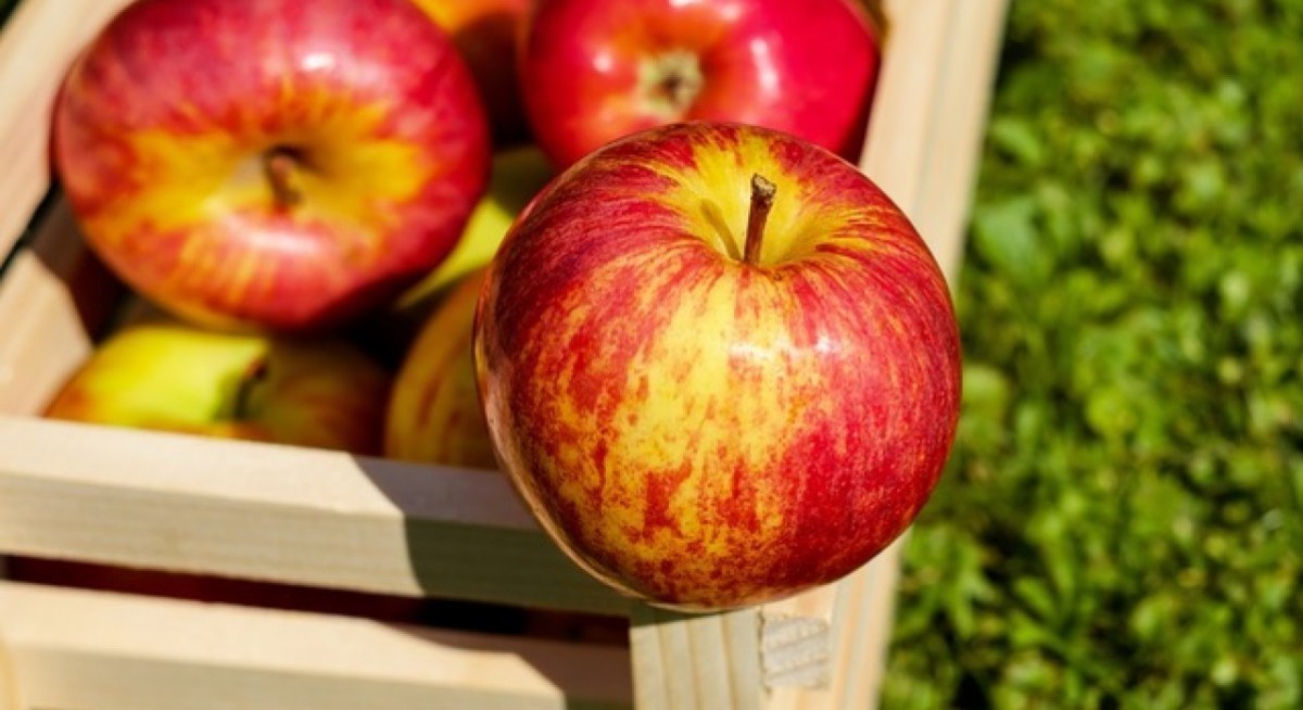 Zhongxin Fruit earnings for full year surge to RMB29.7 mil from increased purchasing activity from end customer