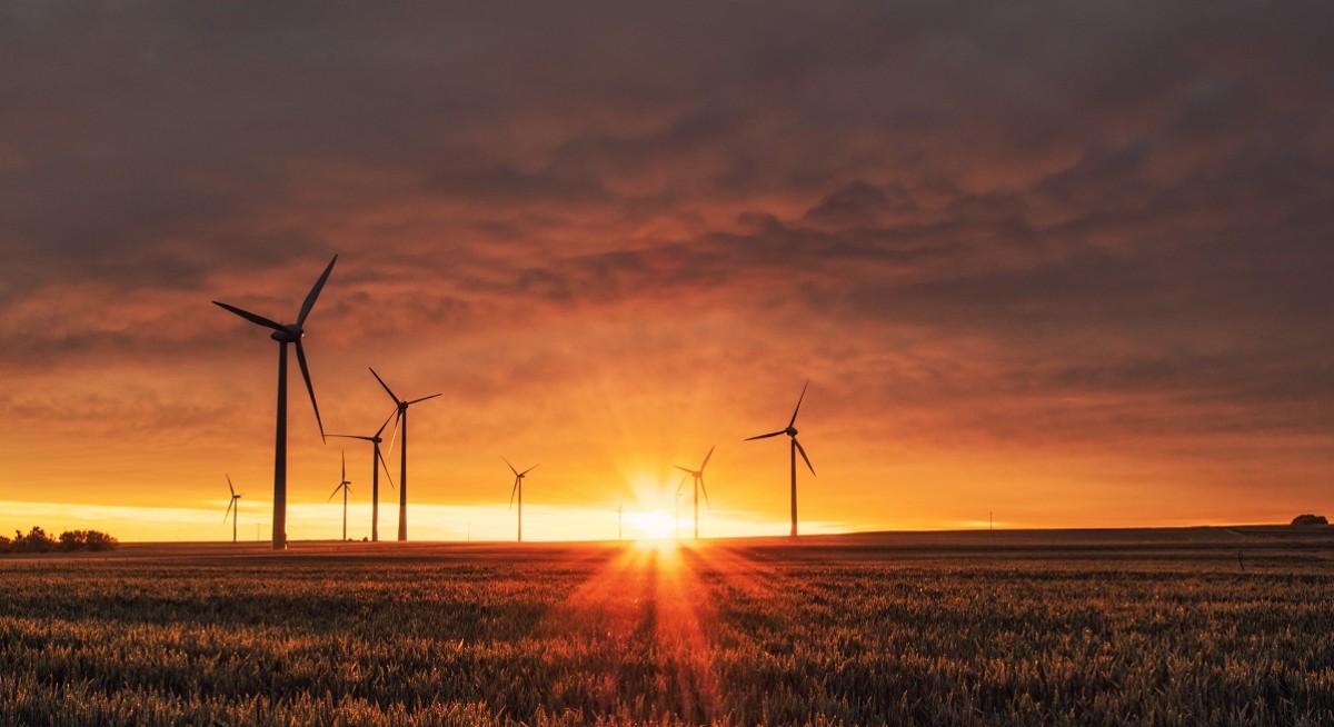 Winning the race to Net Zero