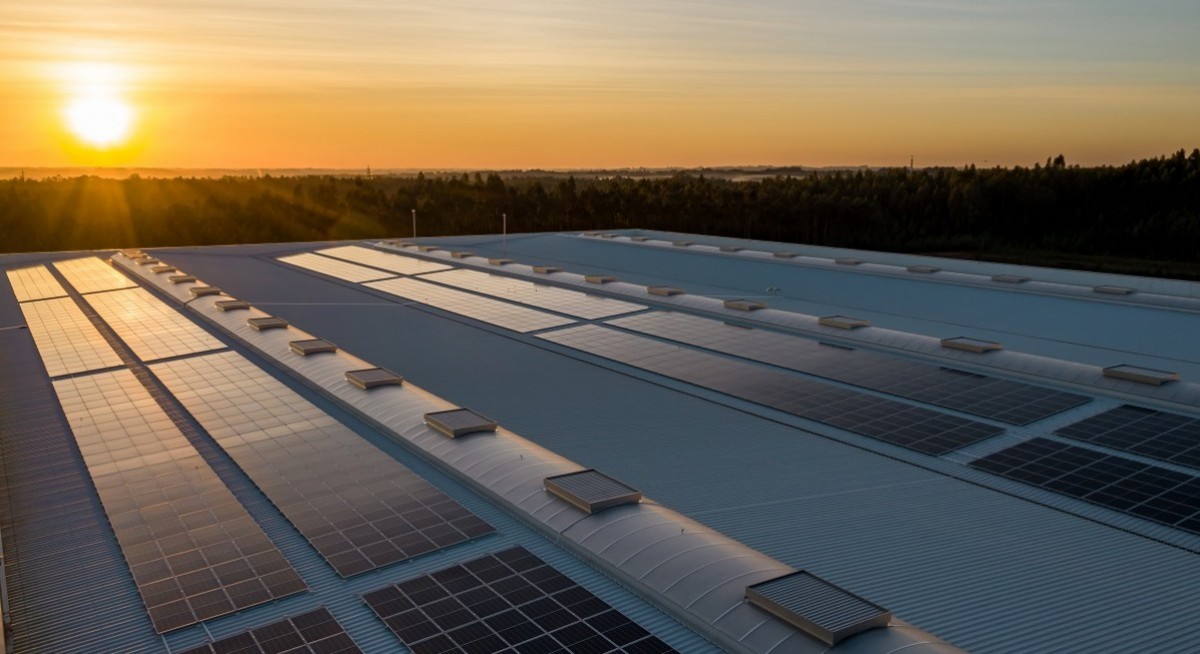 Renewable energy could pay the price for fuel crisis