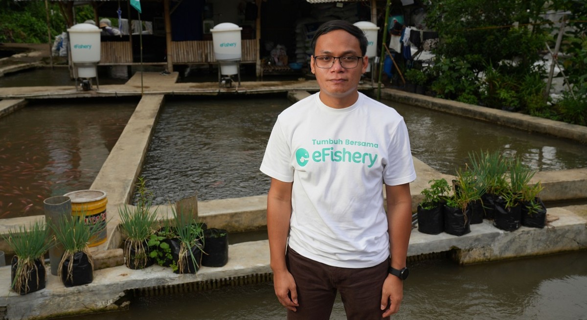 eFishery was a valuation scandal, not accounting fraud