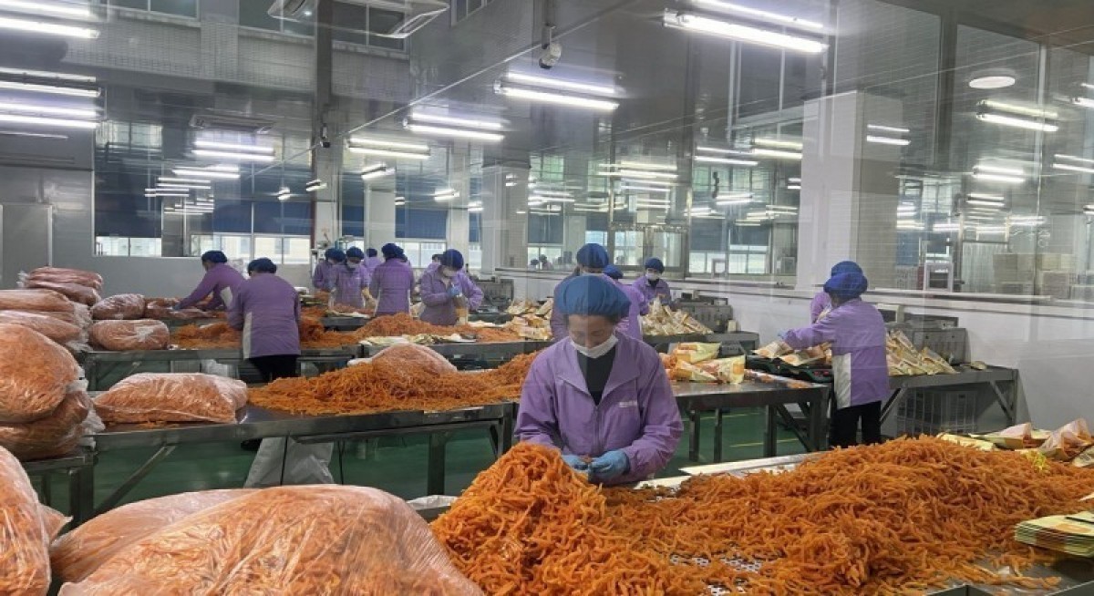 PhillipCapital's Lim maintains 'buy' call on Zixin Group but cuts target price to 5.5 cents 