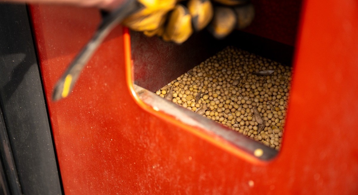 China ramps up buying of US soybeans after brief pause in trade