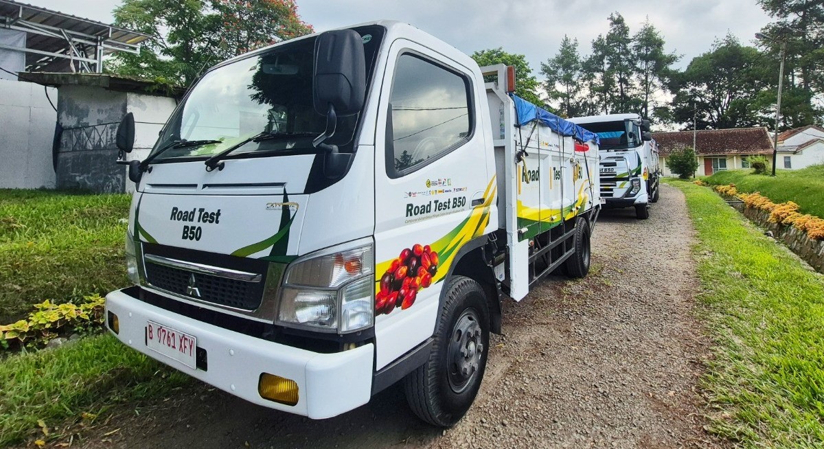 Indonesia biofuel push adds strain to producers, palm oil markets