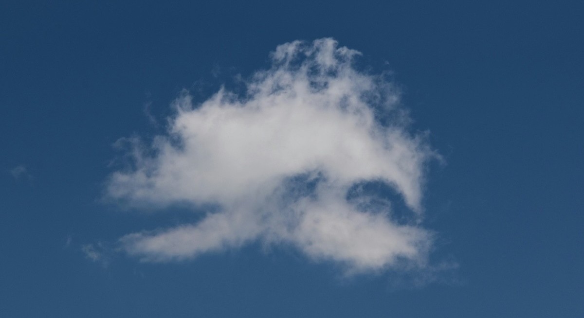 Identity emerges as cloud’s weakest link: Tenable and Cloud Security Alliance 